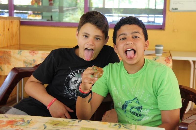 Village Camps International Summer Camp Ard&egrave;che, France 2019-07-26 https://www.villagecamps.com/journals_admin/images/911-41-07-03-2014  (800x533)  (38).jpg